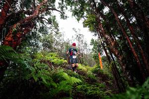 BIB: 
                            <button type="button" onclick="openModal(26201675)" class="btn btn-primary btn-sm float-right btn-popup" data-toggle="modal" data-target=".modal-high-quality">
                        <i class="fas fa-shopping-cart"></i> Add to Cart
                    </button>
                                            <button type="button" onclick="isThisMe(26201675, true)" class="btn btn-success btn-sm float-right btn-popup btn-isme hidden" data-toggle="tooltip" data-placement="bottom" title="นี่คือรูปของคุณใช่ไหม คลิกที่นี่เพื่อเอาเข้าอัลบั้ม">
                        <i class="fas fa-plus"></i> Add to album
                    </button>
                    <button type="button" onclick="isThisMe(26201675, false)" class="btn btn-warning btn-sm float-right btn-popup btn-isnotme hidden">
                        <i class="fas fa-ban"></i> Remove from album
                    </button>